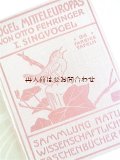 アンティーク洋書★図鑑　 Otto Fehringer   中央ヨーロッパの小鳥　野鳥の本　イラスト多数　30年代　