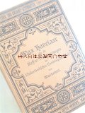 アンティーク洋書　★キャラメル色の古書   オランダの小説　ドイツ語訳版