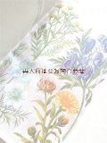 楽しい古本　植物図鑑★　ヒーリング植物＆穀物　美☆イラスト図版多数