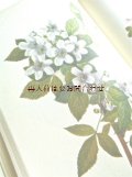 楽しい古本★ 大きな植物画の本　アメリカの野生の植物　ボタニカルアート　400図版　60年代　