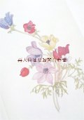 楽しい古本☆　水彩植物画　ギリシャの花々　イラスト　詩　エッセイ　80年代