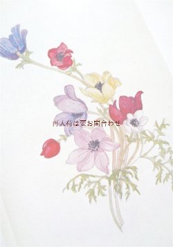 画像1: 楽しい古本☆　水彩植物画　ギリシャの花々　イラスト　詩　エッセイ　80年代