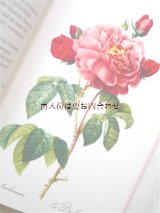 楽しい古本☆ルドゥーテのバラの絵×薔薇に関する詩や小説　素敵なアンソロジー♫　バラの切手付