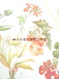 楽しい古本☆  観葉植物　窓辺の植物　図鑑　ボタニカル　アート　　植物画多数　