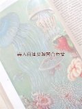 楽しい古本☆　イラストの美しい古い教科書　生活科　自然　海洋　キノコ　微生物　etc 