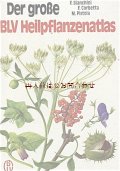 楽しい古本★　ヒーリング植物の大きな図鑑　ハーブ　薬草　大型書籍　図鑑　