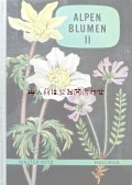 楽しい古本洋書☆　アルプスの植物II　植物画　　スイス　高山植物図鑑　ボタニカル　アート