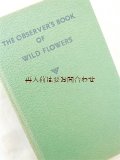 楽しい古本★ 70年代　ロンドンのかわいい植物図鑑  草花　　ボタニカル　イラスト多数　