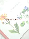 楽しい古本★ スイス　絵本のような図鑑　ヒーリング植物　　薬草　ハーブの本　ボタニカル　アート