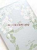 楽しい古本★　オランダの可愛らしい図鑑　　Jac. P　Thijsse　カラフルな野原　野草の本　植物　小動物他