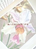 楽しい古本★ 蘭の本　スイスの大きめ図鑑　イラスト多数　葉　蘭　ボタニカル　アート　