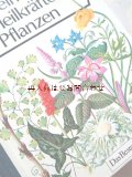 アンティーク洋書☆ 大型古書　植物のヒーリングパワーと秘密　ハーブ　薬草　有毒植物　図鑑　