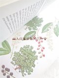 楽しい古本　洋古書★ 美品　 木　樹木の本　図鑑　果実　花　イラスト多数　
