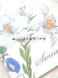 　楽しい洋書★　挿絵の美しい　詩集　　マリア　ジビーラ　メーリアン　イラスト付