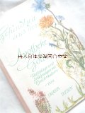 楽しい古本★薬草　ハーブ　ガイド　自然療法　アドバイス　ハーバリストの本  　イラスト有