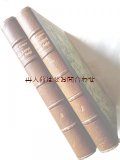 アンティーク洋書セット　ディスプレイ 　インテリア 　撮影にも☆　背表紙革装の古書　小説2巻