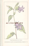楽しい古本 洋書★　ナチュラル 　ヨーロッパ　夏の花の本　　植物　図鑑　ボタニカル　
