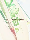 洋古書★植物図鑑　 ボタニカル　大きなイラストの木の図鑑　木と低木の本　イラスト多数　1967年