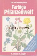 楽しい古本☆　カラフルな植物の世界　花の色別　図鑑　ボタニカル　イラスト多数