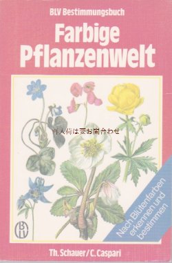 画像1: 楽しい古本☆　カラフルな植物の世界　花の色別　図鑑　ボタニカル　イラスト多数