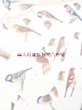 楽しい古本洋書☆　難有り　お手頃　中央ヨーロッパの野鳥と卵の図鑑　イラスト　900点　印刷物