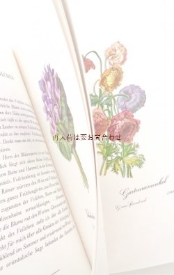 画像1: 楽しい古本☆　愛され贈られる花々の本　水彩　ボタニカル　ブーケ　イラスト　３２枚　ルドゥーテ他 