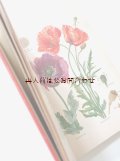 楽しい古本　洋古書★　植物画　イラスト多数　植物学の本　　高山植物　　植物　　薬草　コケ　シダ　キノコ 
