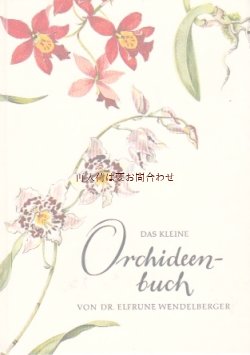 画像1: 楽しい古本☆　　美しい蘭の図鑑　　　植物　　花のイラスト　　ボタニカル　　　小さな蘭の本