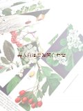 　楽しい古本★　カラフル　　木の本　　　森や草原の木と低木　　　　図鑑　　イラスト多数　　60年代