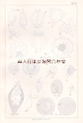 アンティーク★　 植物学　ガイド　　　スケッチ　図版　　ボタニカル　イラスト　　