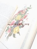 アンティーク洋書★希少　大型古書　植物の王国　ボタニカル　イラスト多数　　白黒　カラー図版　挿絵　多数　