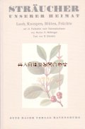 アンティーク 洋書★伸びるイラスト図版の素敵な本　２１図版　　ボタニカルアート　希少　植物画