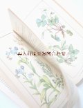楽しい古本 洋書★　５０年代　ナチュラル 　ヨーロッパ　　ドイツ　春の花の本　　植物　図鑑　ボタニカル　