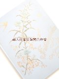 アンティーク洋書★ツバメや蝶、春の花柄の素敵な古書　詩集　アンソロジー　イラスト付