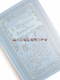 アンティーク洋書☆ 　ブーケと蝶の柄　素敵な模様の古書　　テオドール・フォンターネ　小説　L'Adultera 不貞の女 
