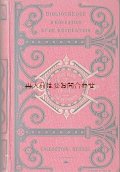 アンティーク洋書　☆ ジュール・ヴェルヌ　　小説　　神秘の島　　フランス　冒険小説　　カット面三包金