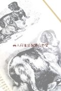 再出品　アンティーク　洋書★　犬　猫　ペットの本　イラスト多数　ペット　家畜　　動物　イラスト　