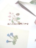 ボタニカル　アート　印刷物　モリッツ・マイケル・ダフィンガー　植物画　リプリント　図録　