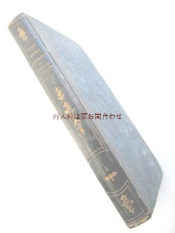 画像1: アンティーク洋書★バラ柄型押し　背表紙革装　フランスの古書　アンティーク　1841年　歴史　　博物館　ミュージアムの本