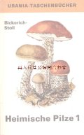 楽しい古本　洋古書★ 　キノコ　　カラーイラスト　図鑑シリーズ　