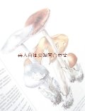楽しい古本　洋古書★ 　キノコ　　カラーイラスト　図鑑シリーズ　２　　　Bickerich-Stoll