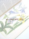 楽しい古本☆　優しいタッチの植物画 Hugo Hertwig 　ヒーリング植物　図鑑　ボタニカル　古書　自然療法のハウスブック　ナチュロパシー