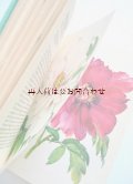 楽しい古本★ DAUSIEN  観賞用木　花用樹木　低木図鑑　　美　イラスト多数　　７０年代