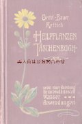 アンティーク 洋書★希少★　1909年　初版　ヒーリング植物　薬用植物　家庭のガイド　ボタニカルイラスト付