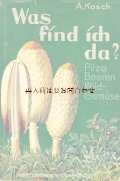 アンティーク洋書★　３０年代　キノコ　ベリー　山菜　イラスト　図版  シャビーな古書