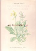 アンティーク洋書★　イラスト多数　ハーブの本 　ボタニカル　イラスト　　図鑑