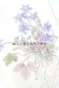 楽しい古本★　有毒植物　観葉植物　植物画　イラスト　ボタニカル　アート　美リネン表紙