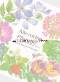 楽しい古本★　ドイツのガーデニング本  観葉植物　室内  　お庭　バルコニーの植物　植物画　工作etc