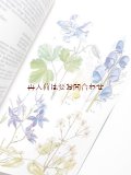 楽しい古本　　洋書★　アンニュイなイラストの植物百科事典　図鑑　花　木　草花　野菜　果物　シダ　コケ　キノコも