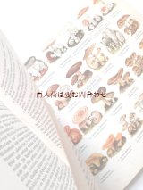 アンティーク洋書★　キノコの図版が素敵な古書　背表紙難あり　レトロ　図鑑  30年代